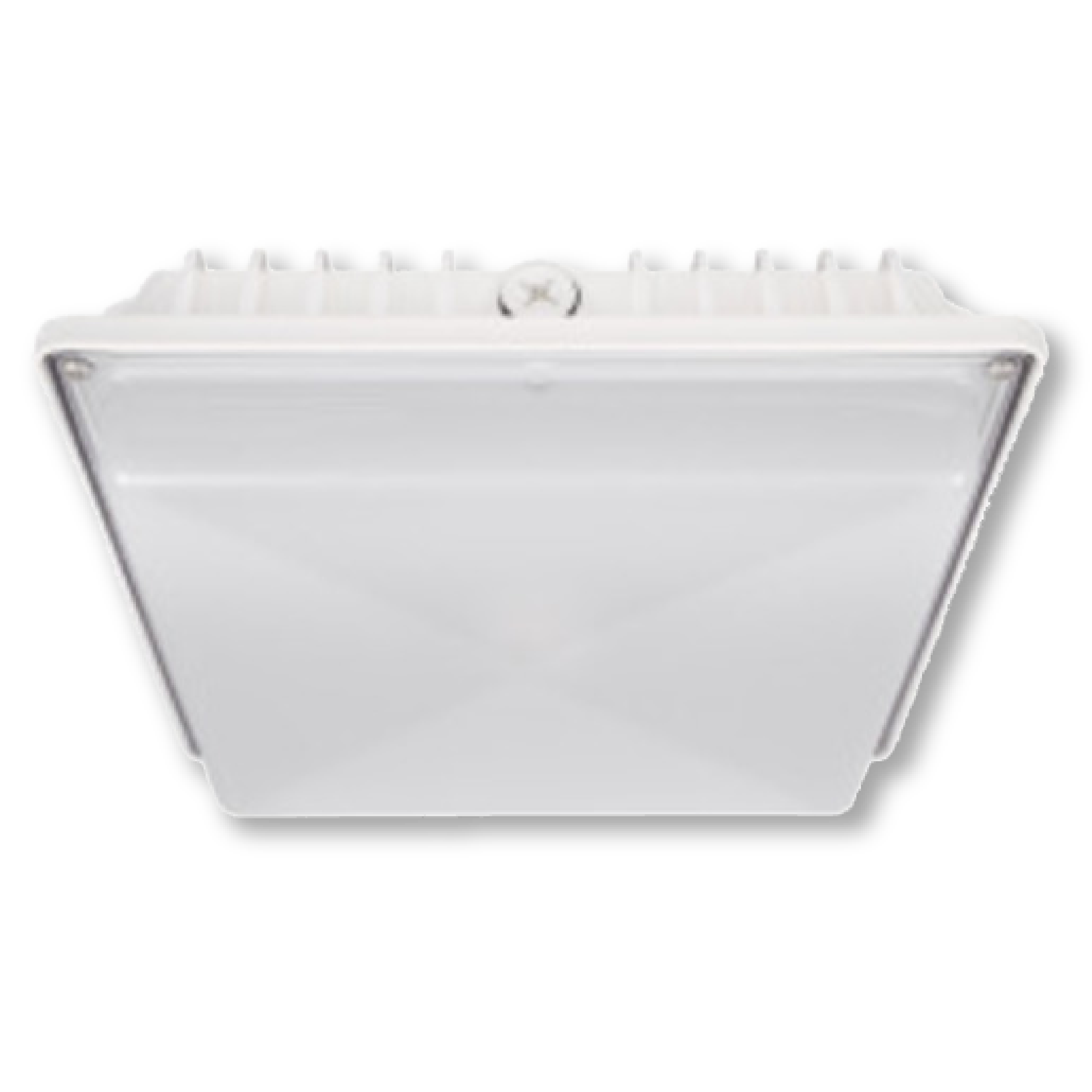 Garage and Canopy Lights