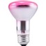 Other Incandescent Bulbs