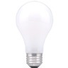 Traditional Type A & PS Bulbs